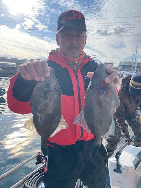 ウマヅラ(ウマヅラハギ)