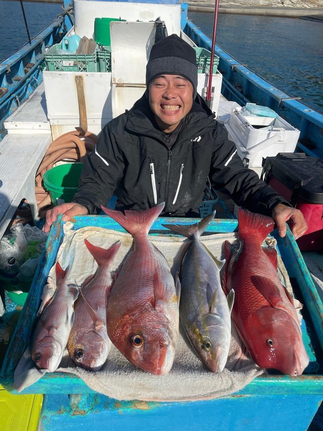 マダイ・カンパチ・カンダイ(コブダイ)