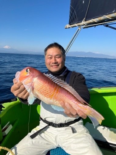 アマダイ(アカアマダイ)