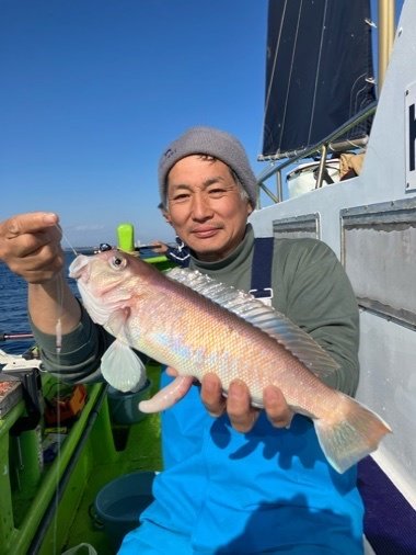 アマダイ(アカアマダイ)