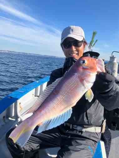 アマダイ(アカアマダイ)