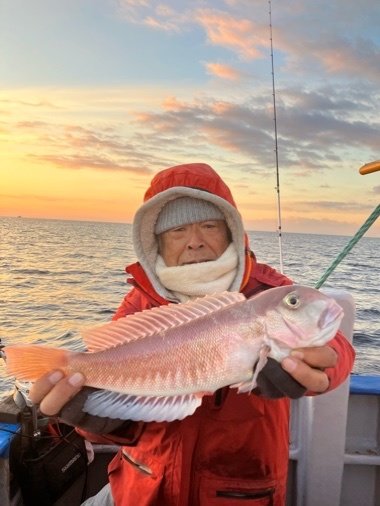 アマダイ(アカアマダイ)