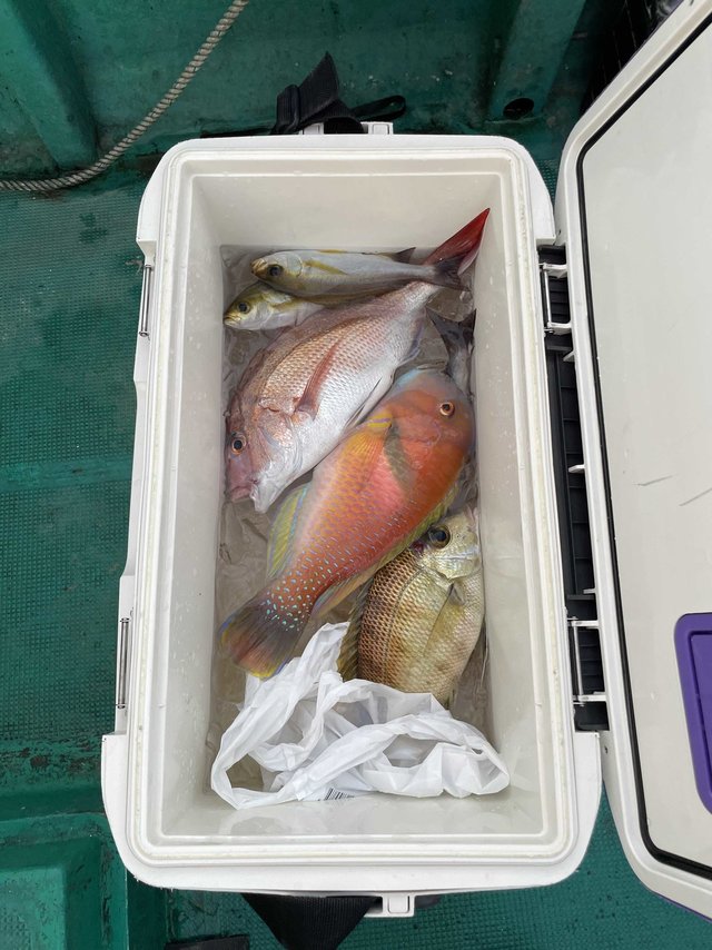 マダイ・メイチダイ・イラ