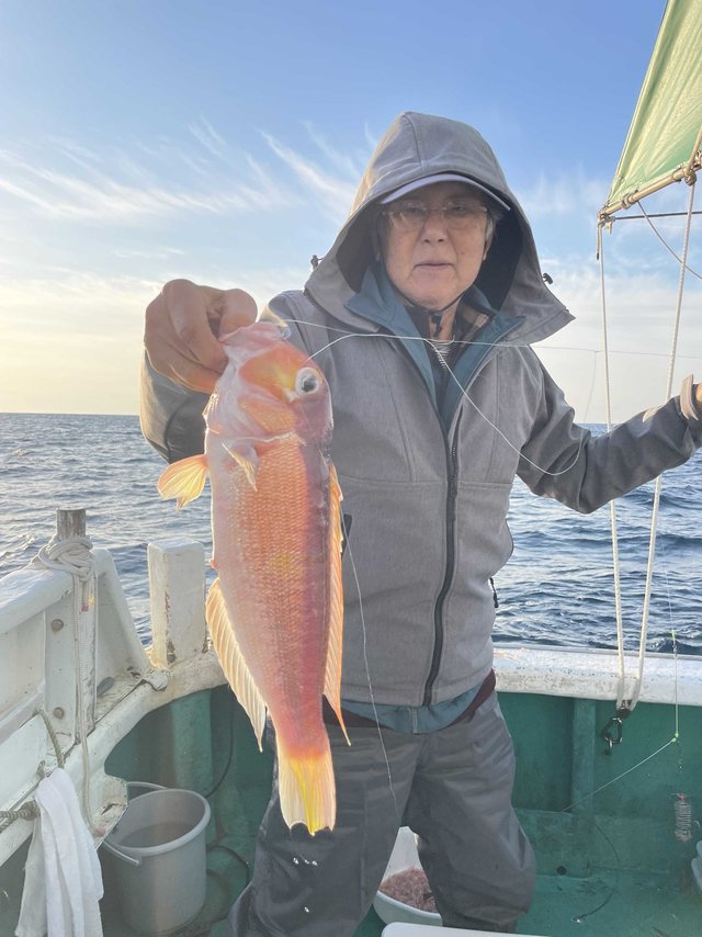 アマダイ(アカアマダイ)