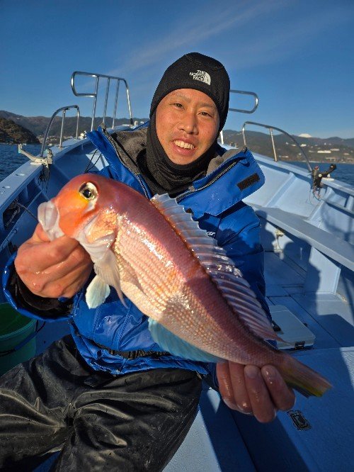 アマダイ(アカアマダイ)