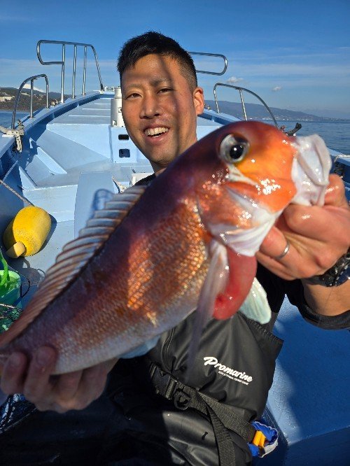 アマダイ(アカアマダイ)