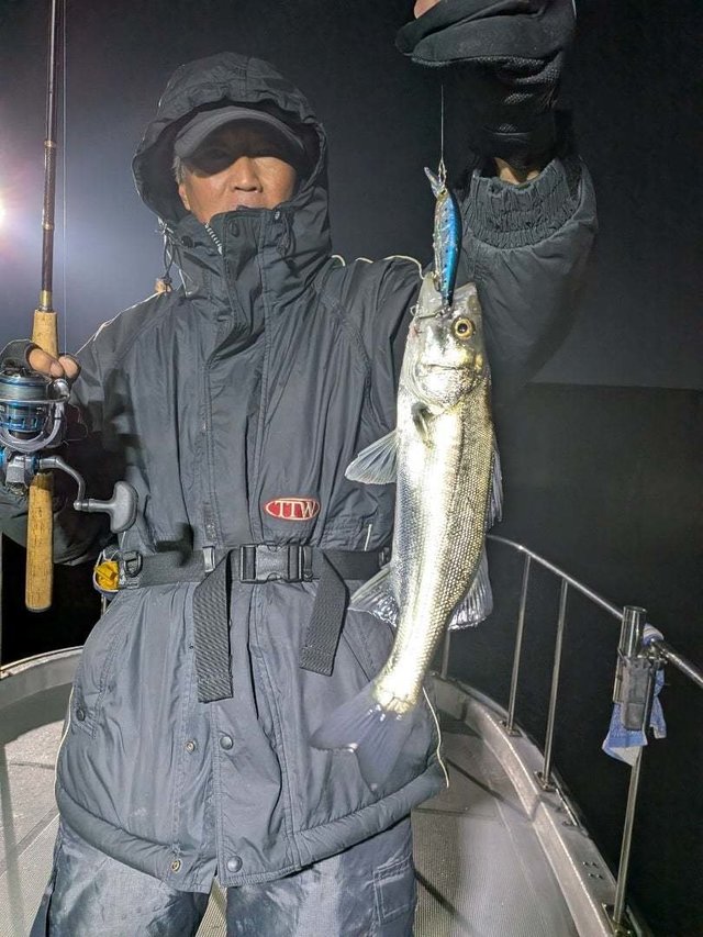 セイゴ(スズキ)