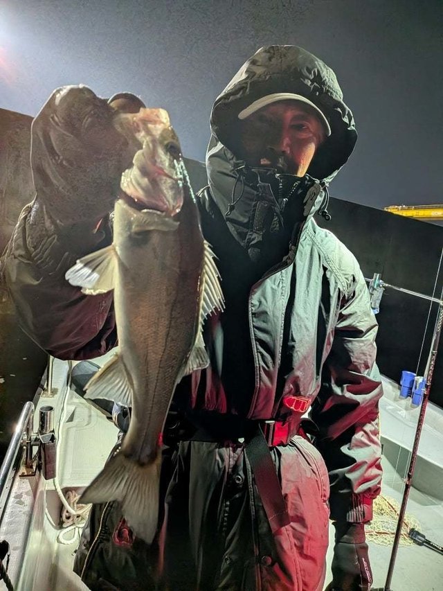 セイゴ(スズキ)