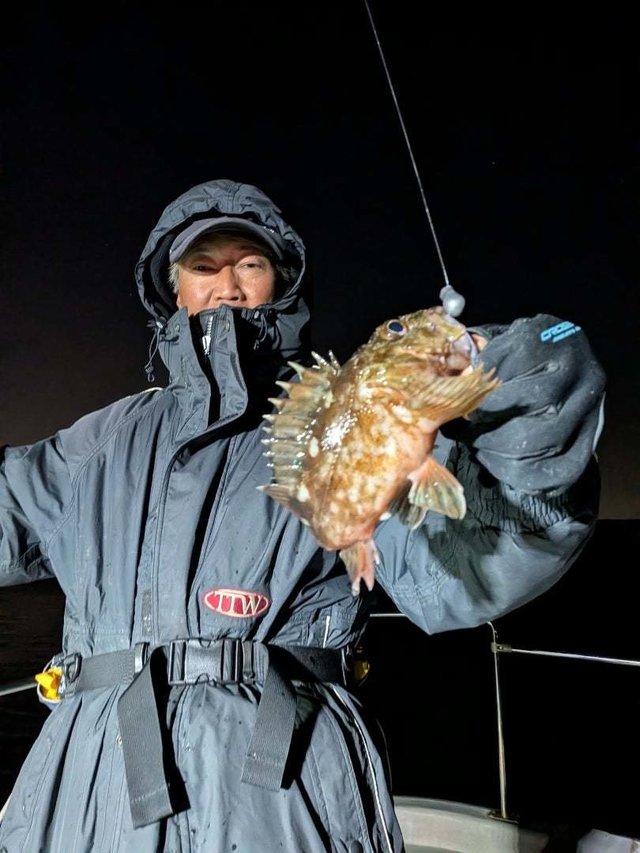 ガシラ(カサゴ)