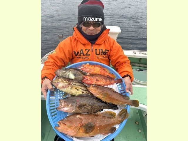 ホウキハタ・オオモンハタ・キジハタ・カンコ(ウッカリカサゴ)・アヤメカサゴ・マトウダイ