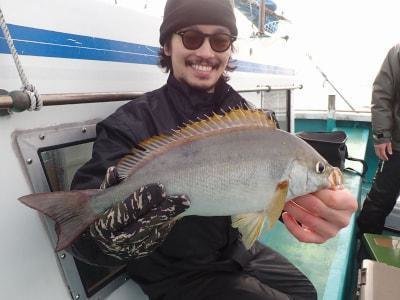 イサギ(イサキ)