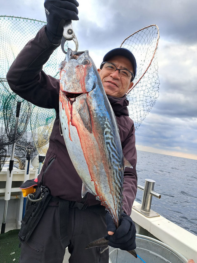 スマガツオ(スマ)