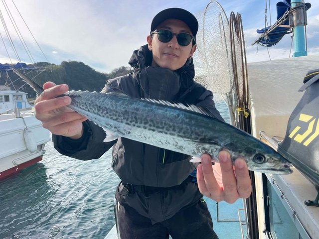 サゴシ(サワラ)