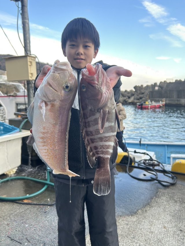 マハタ・シロアマダイ