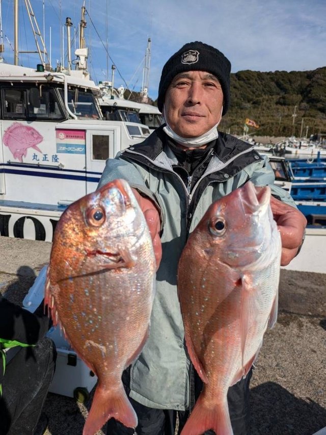 ハナダイ(チダイ)