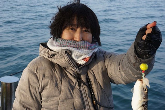 ショウサイフグ