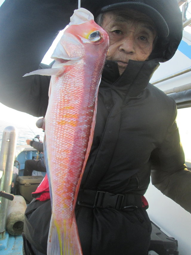 アマダイ(アカアマダイ)