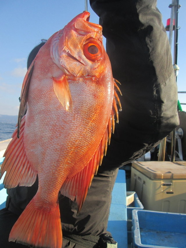 チカメキントキ