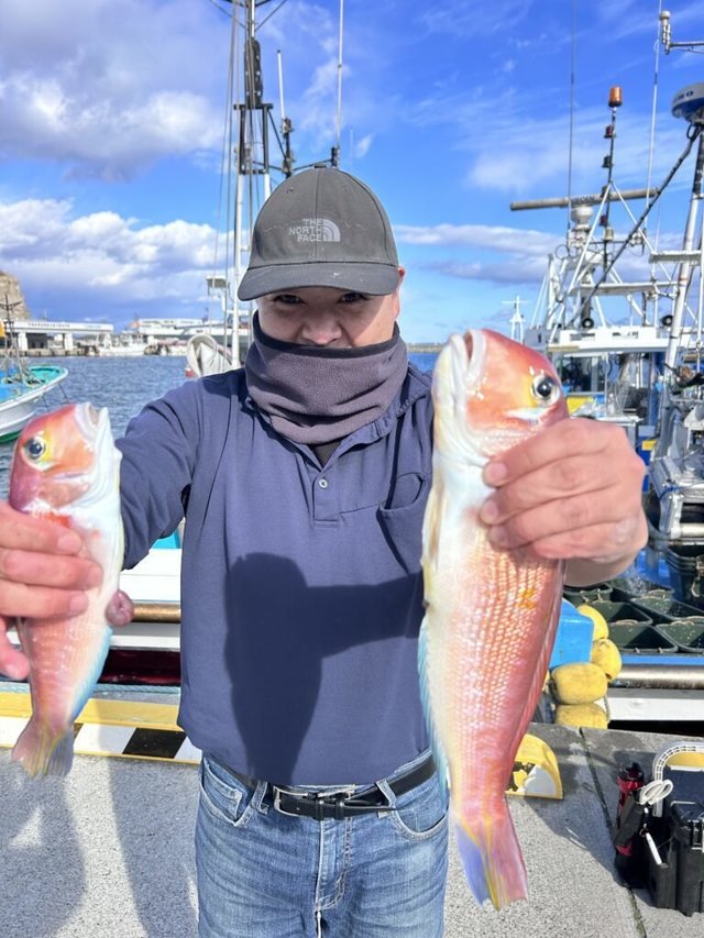 アマダイ(アカアマダイ)