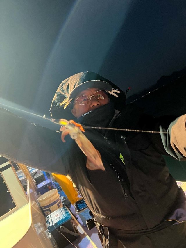 マルイカ(ケンサキイカ)