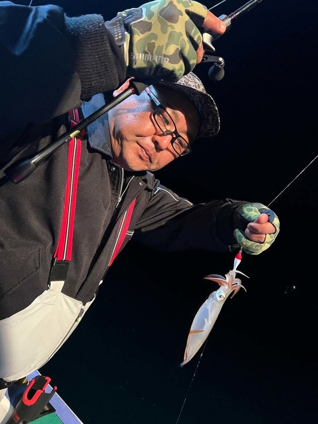 マルイカ(ケンサキイカ)