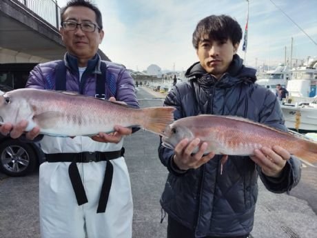 アマダイ(アカアマダイ)