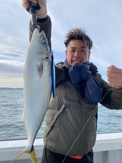 ハマチ(ブリ)