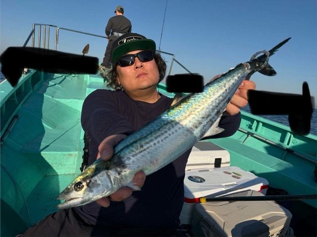 サゴシ(サワラ)