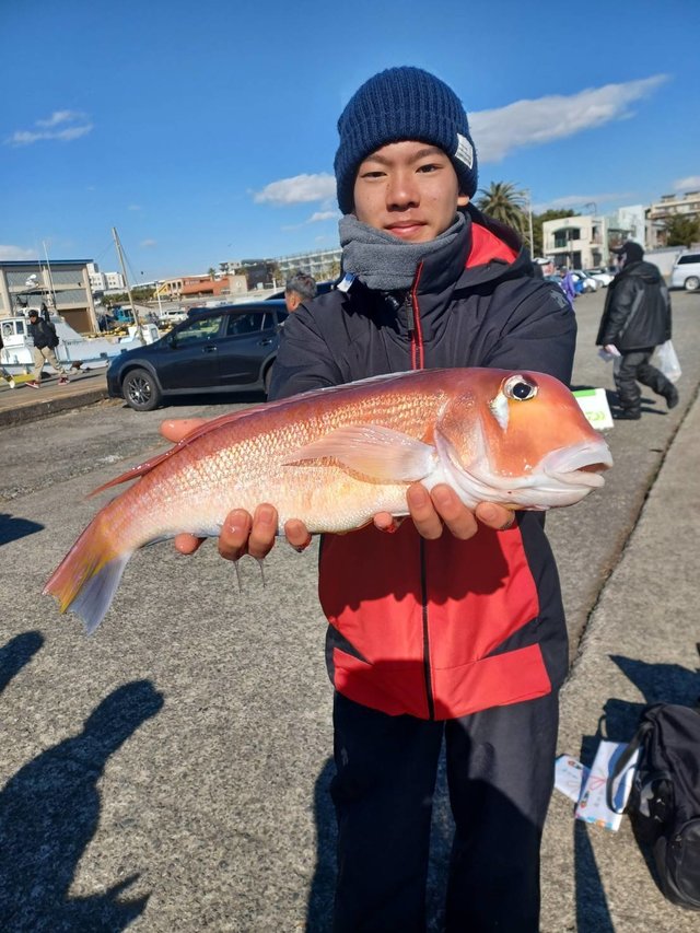 アマダイ(アカアマダイ)