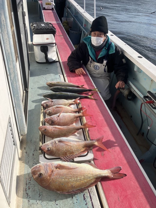 マダイ・イナダ(ブリ)・カンパチ