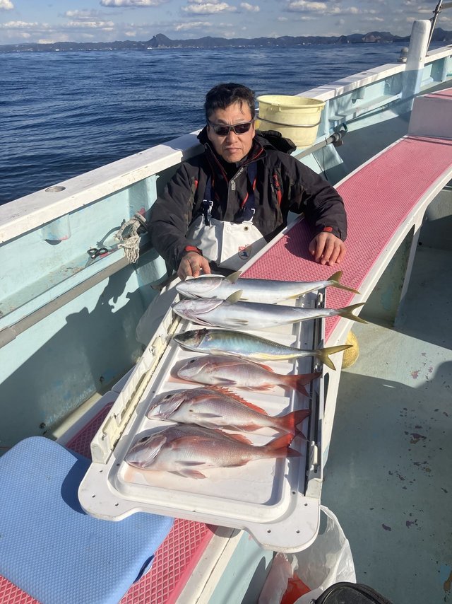 マダイ・マアジ・イナダ(ブリ)