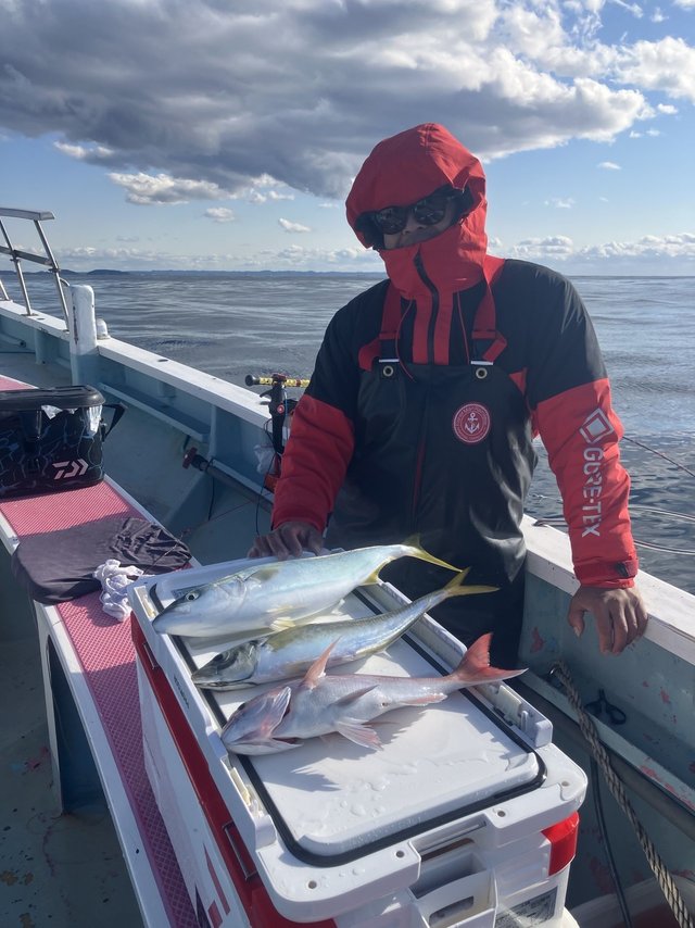 マダイ・マアジ・イナダ(ブリ)