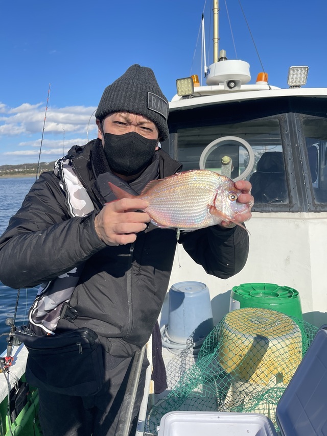 ハナダイ(チダイ)