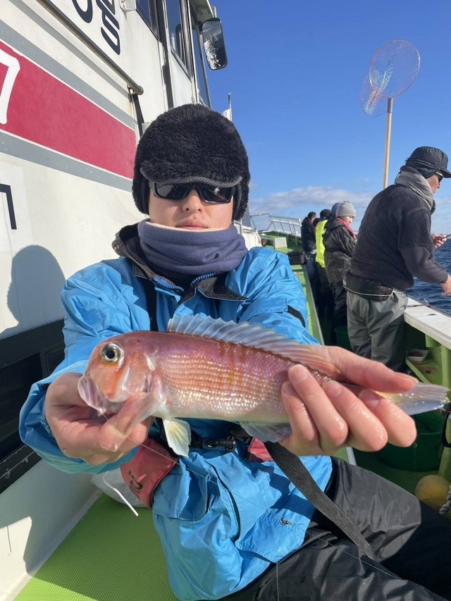 アマダイ(アカアマダイ)