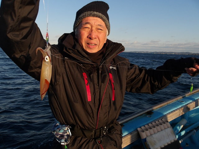 マルイカ(ケンサキイカ)