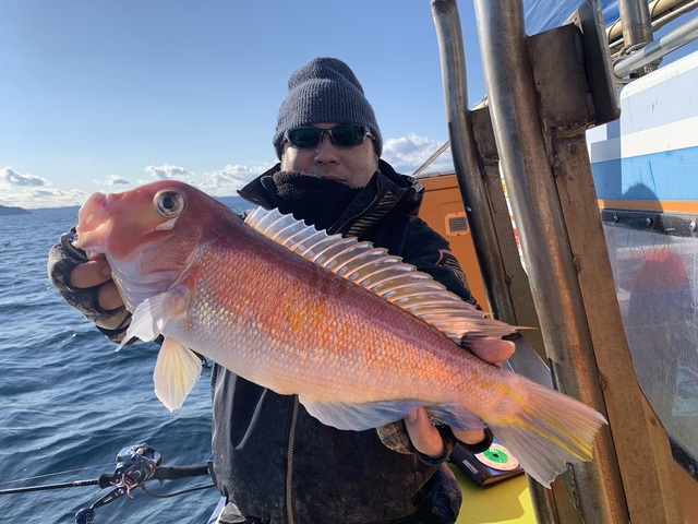 アマダイ(アカアマダイ)