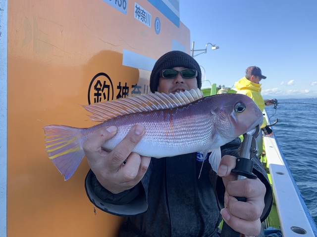 アマダイ(アカアマダイ)