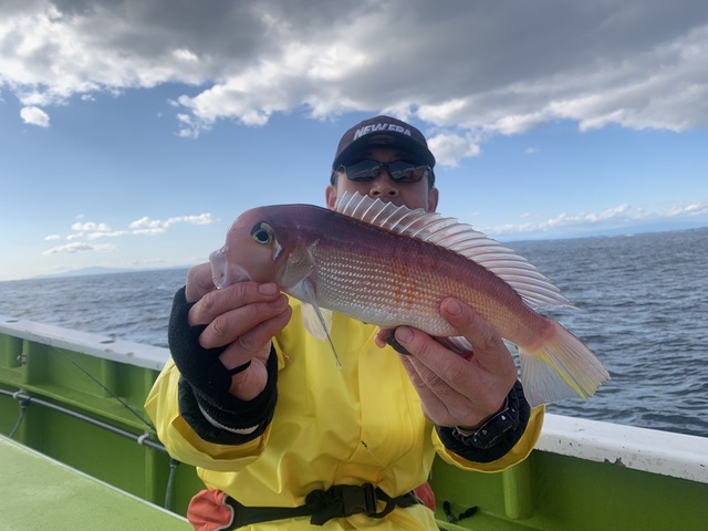 アマダイ(アカアマダイ)