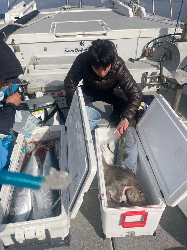 ヤズ(ブリ)・マトウダイ