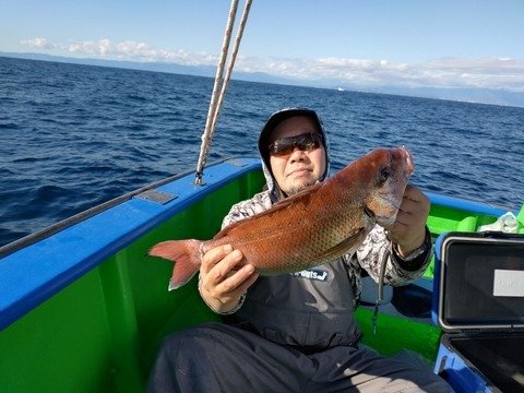 アマダイ(アカアマダイ)