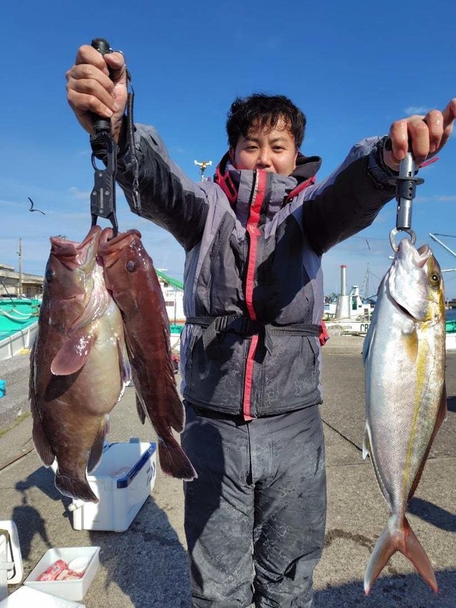 カンパチ・ハタ(マハタ)