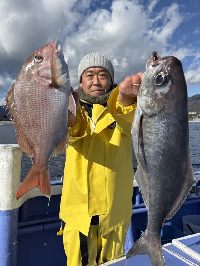 マダイ・メダイ