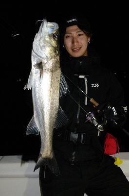 シーバス(スズキ)