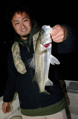 シーバス(スズキ)