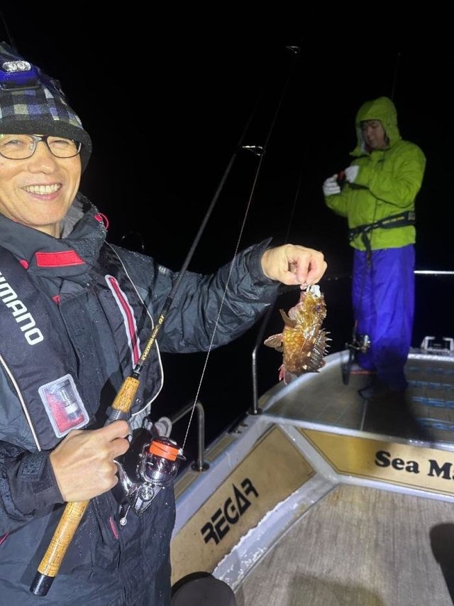 ガシラ(カサゴ)