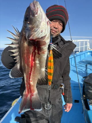 イシナギ(オオクチイシナギ)