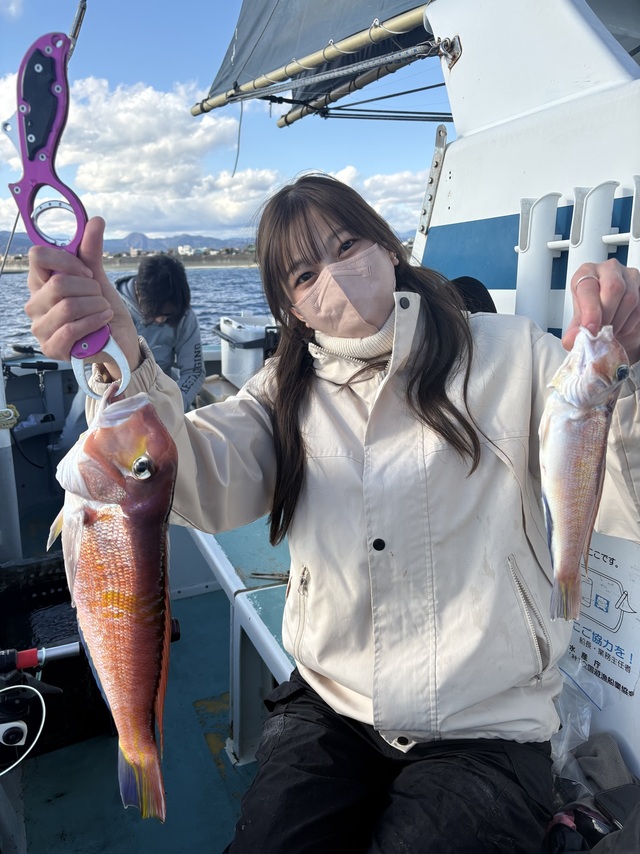 アマダイ(アカアマダイ)