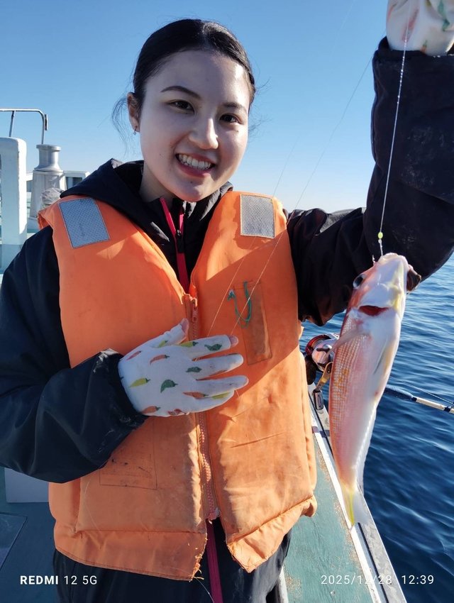 アマダイ(アカアマダイ)