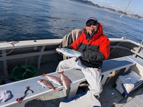 マダイ・イナダ(ブリ)