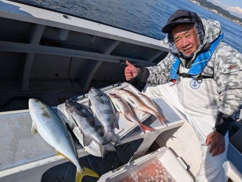 マダイ・イシダイ・イナダ(ブリ)
